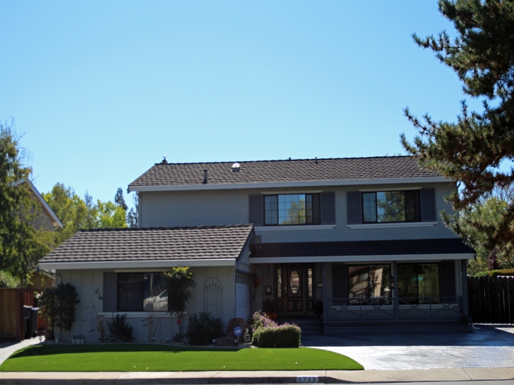 Grass Turf Cascade-Chipita Park, Colorado Gardeners, Front Yard Ideas