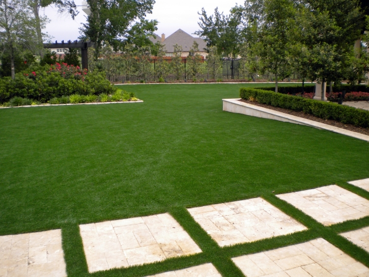 Grass Turf Genesee, Colorado Home And Garden, Backyard Designs