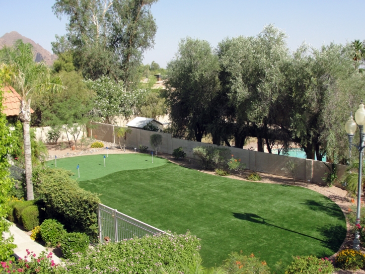 Grass Turf Minturn, Colorado Backyard Putting Green, Small Backyard Ideas