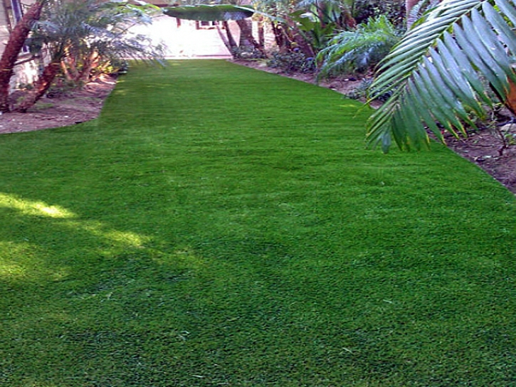 Grass Turf Red Cliff, Colorado Backyard Playground, Backyards