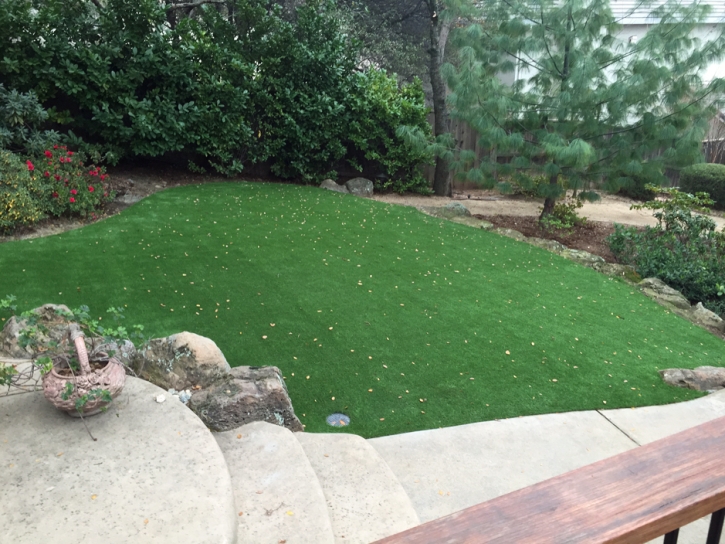 Grass Turf Silt, Colorado Landscaping Business, Beautiful Backyards