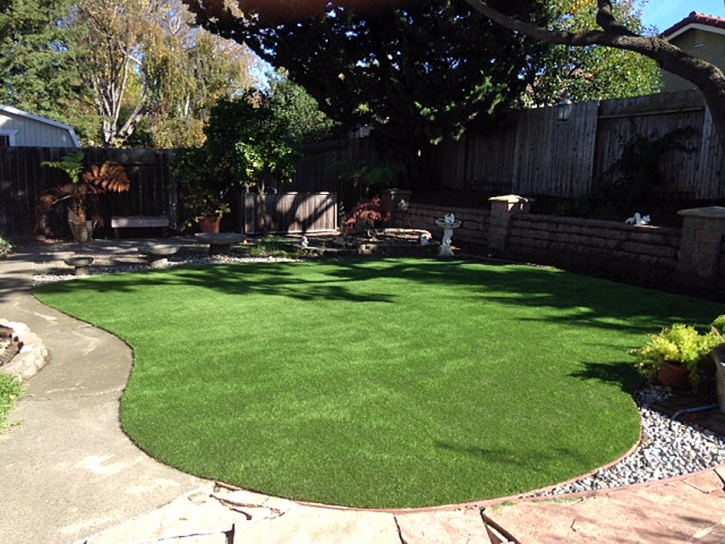 Grass Turf Sugar City, Colorado Roof Top, Backyard Landscaping Ideas