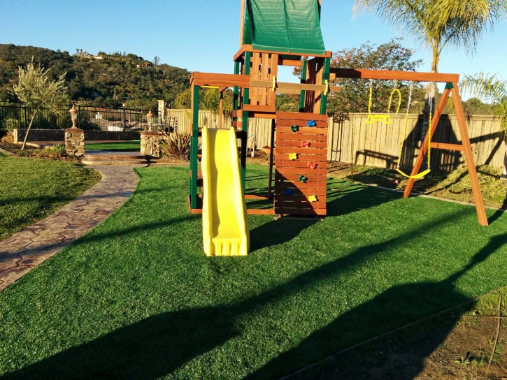 Grass Turf West Pleasant View, Colorado Playground Flooring, Backyard Ideas