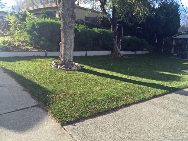 Green Lawn Bonanza, Colorado Backyard Deck Ideas, Landscaping Ideas For Front Yard