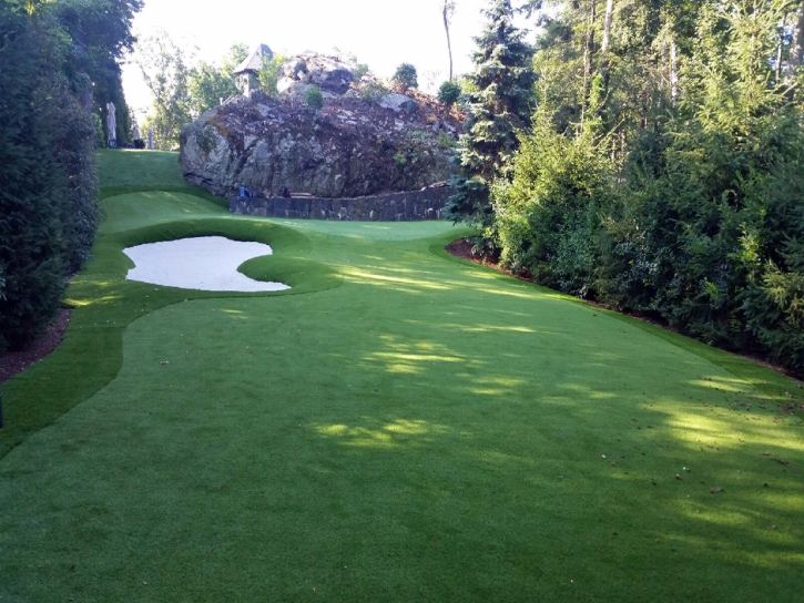 Green Lawn Gilcrest, Colorado Indoor Putting Green, Commercial Landscape