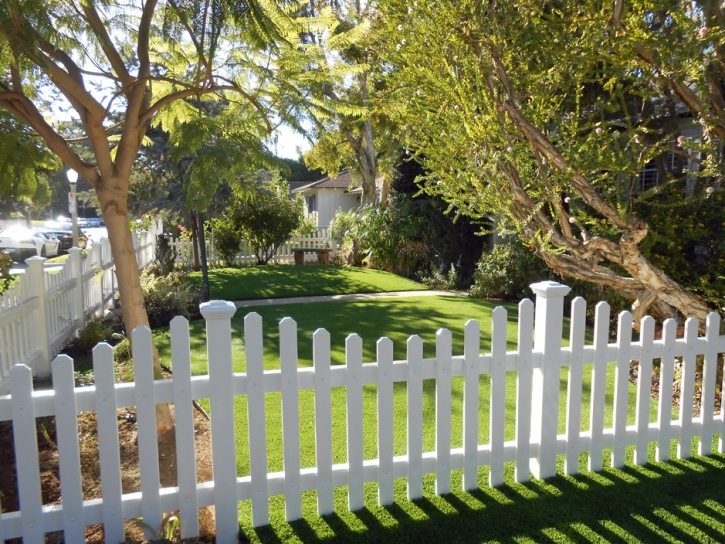 Green Lawn La Junta Gardens, Colorado Landscaping, Front Yard Landscaping