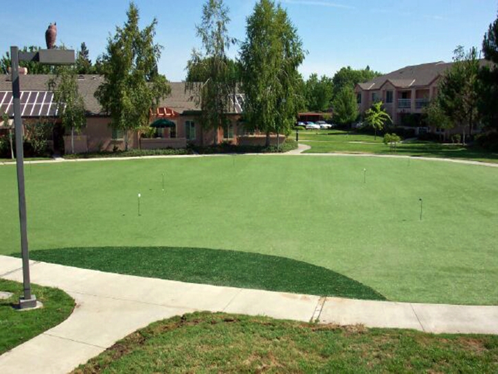 Green Lawn Monte Vista, Colorado Backyard Putting Green, Commercial Landscape