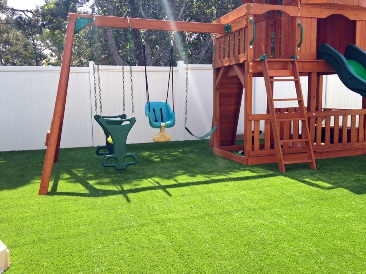 Green Lawn Swink, Colorado Landscaping, Backyard Design