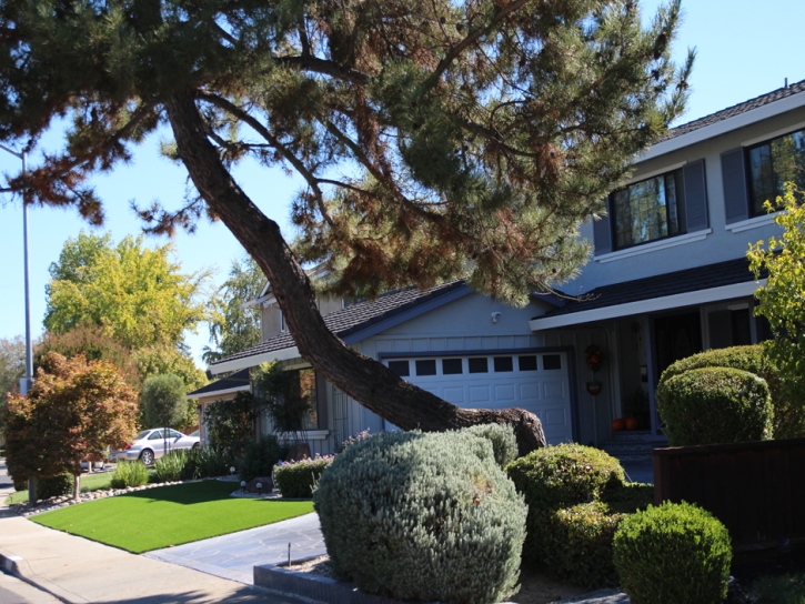 Green Lawn Woody Creek, Colorado Landscaping, Small Front Yard Landscaping