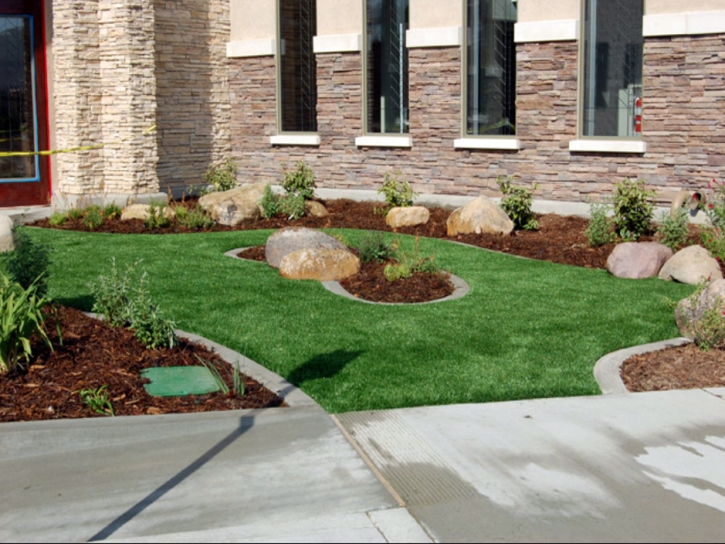 How To Install Artificial Grass Fraser, Colorado Landscape Photos, Commercial Landscape