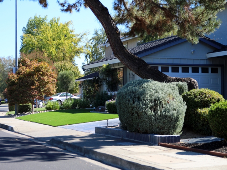 Installing Artificial Grass Orchard Mesa, Colorado Landscape Photos, Front Yard Landscaping