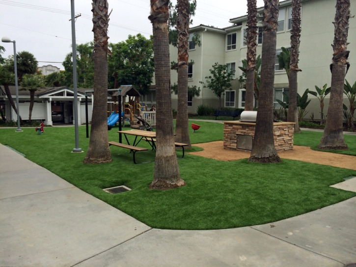 Installing Artificial Grass Pine Brook Hill, Colorado Rooftop, Commercial Landscape