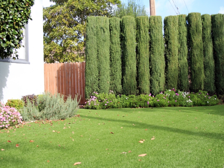 Installing Artificial Grass Raymer, Colorado City Landscape, Front Yard Design