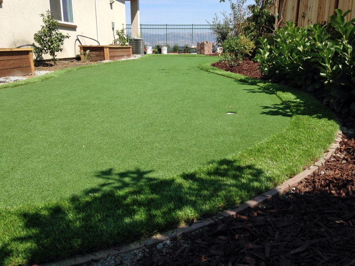 Lawn Services Gleneagle, Colorado Landscaping, Backyard Landscaping