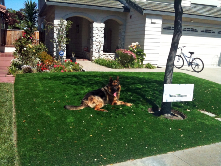 Lawn Services Idledale, Colorado Roof Top, Front Yard Design