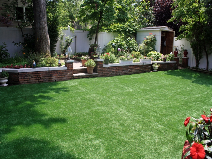 Lawn Services Pueblo, Colorado City Landscape, Backyard Design