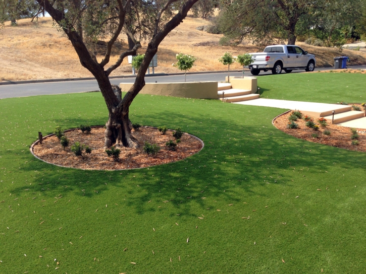 Outdoor Carpet Bethune, Colorado Landscape Design, Small Front Yard Landscaping