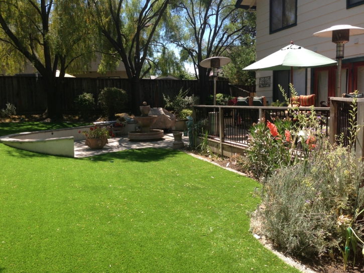 Outdoor Carpet Colorado Springs, Colorado Lawn And Garden, Backyard Landscape Ideas