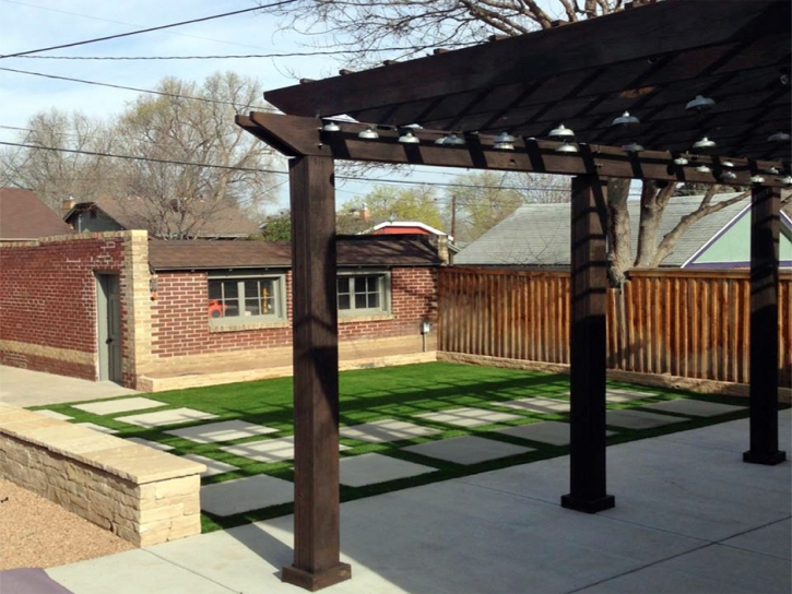 Outdoor Carpet El Jebel, Colorado Landscape Ideas, Backyard Landscaping