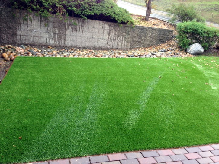 Outdoor Carpet Evergreen, Colorado Garden Ideas, Backyard Ideas