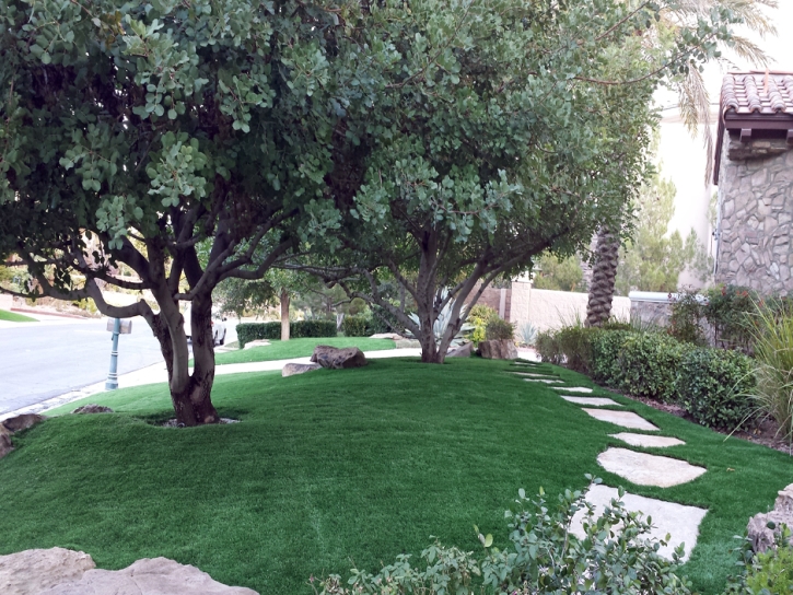 Outdoor Carpet Woody Creek, Colorado Garden Ideas, Front Yard Design