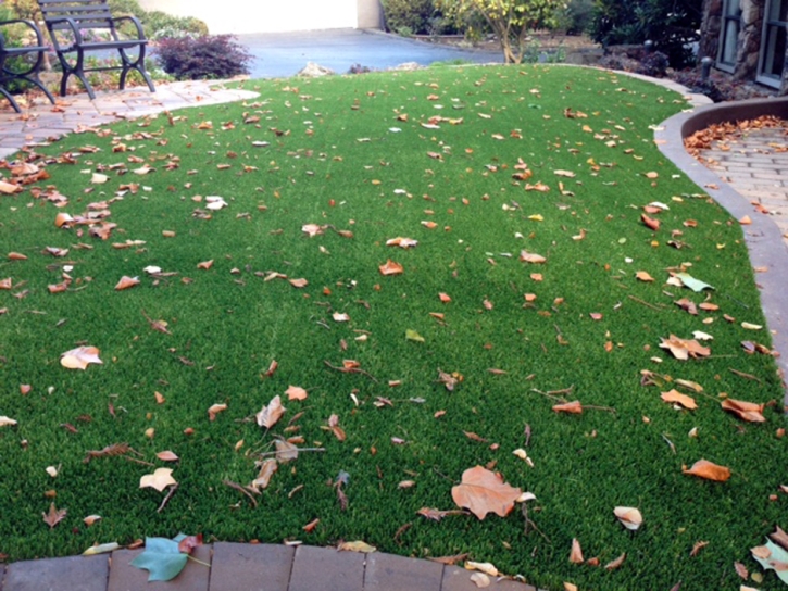 Plastic Grass Berthoud, Colorado Backyard Deck Ideas, Front Yard Landscaping Ideas