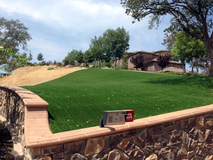 Plastic Grass Creede, Colorado Landscape Ideas, Front Yard Ideas