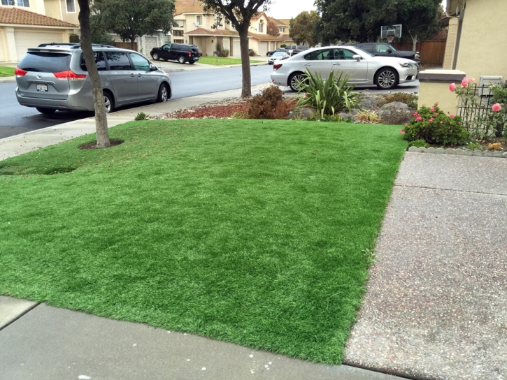 Plastic Grass Fountain, Colorado Roof Top, Front Yard Design