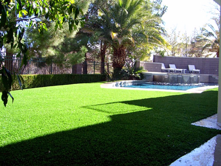 Plastic Grass Gilcrest, Colorado Landscape Photos, Backyard Landscaping