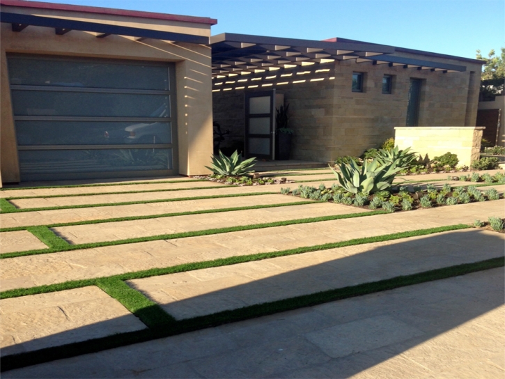 Plastic Grass Hayden, Colorado City Landscape, Front Yard Landscaping