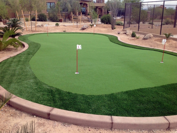 Plastic Grass Hooper, Colorado Best Indoor Putting Green, Backyard Landscape Ideas