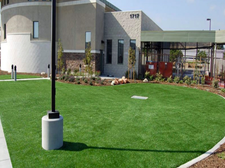 Plastic Grass Jansen, Colorado Landscaping Business, Commercial Landscape