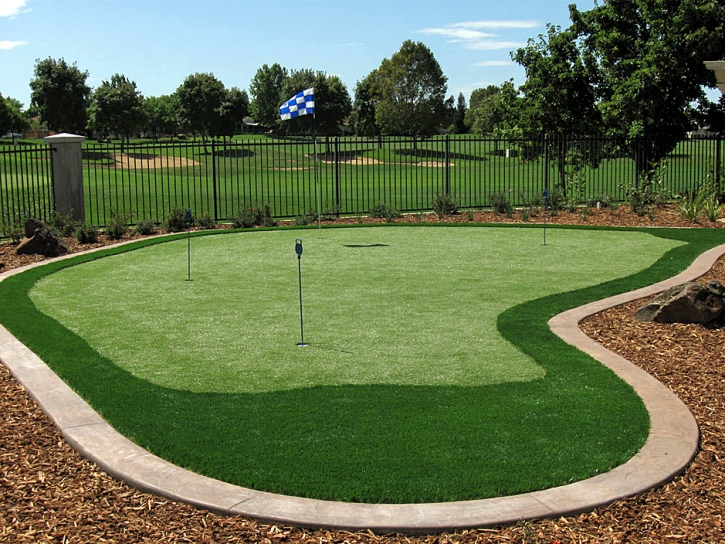 Plastic Grass Lynn, Colorado Home Putting Green, Small Backyard Ideas