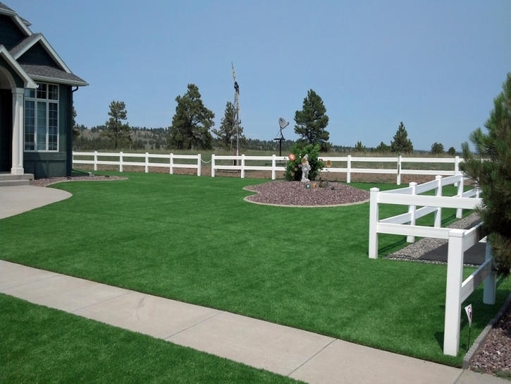 Plastic Grass Manzanola, Colorado Gardeners, Front Yard Landscape Ideas