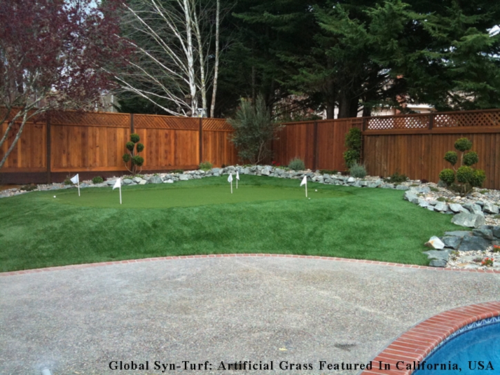 Plastic Grass Sheridan, Colorado Best Indoor Putting Green, Backyard Landscaping Ideas