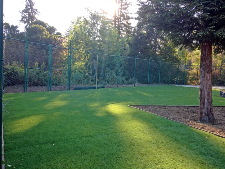 Plastic Grass Stratton, Colorado Paver Patio, Parks