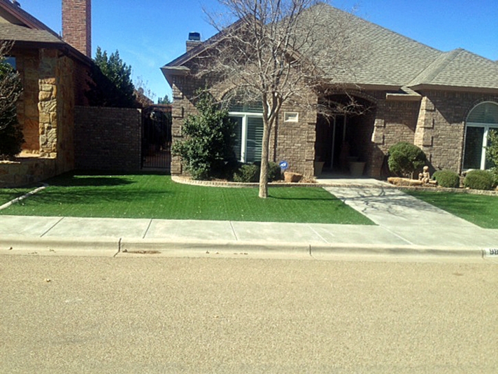 Plastic Grass Tall Timber, Colorado Landscaping Business, Landscaping Ideas For Front Yard