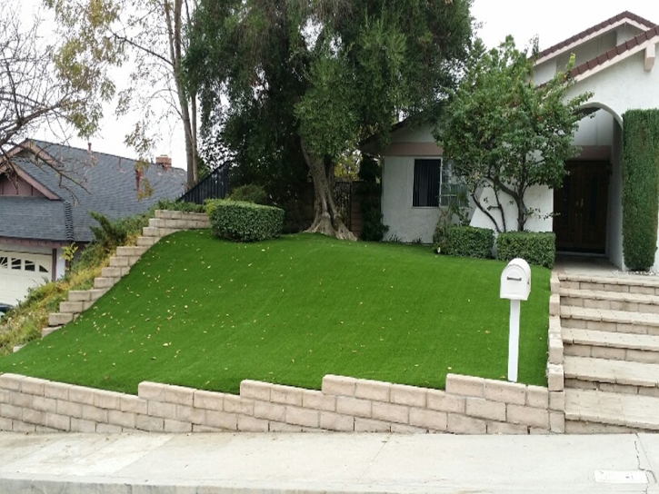 Plastic Grass Valdez, Colorado Gardeners, Small Front Yard Landscaping