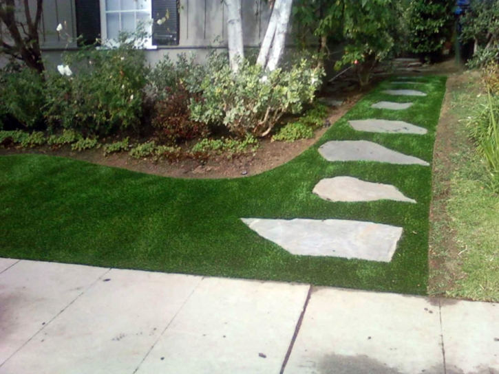 Synthetic Grass Cost Aristocrat Ranchettes, Colorado Garden Ideas, Front Yard