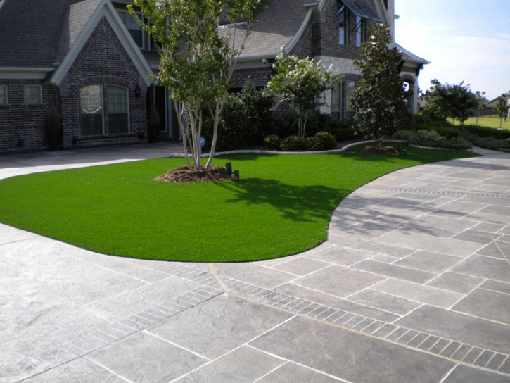 Synthetic Grass Cost Blanca, Colorado Rooftop, Front Yard Ideas