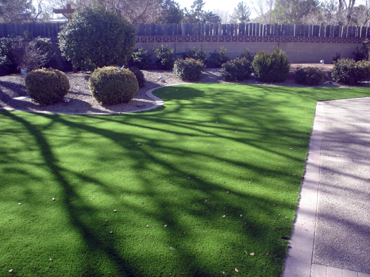 Synthetic Grass Cost Buena Vista, Colorado Rooftop, Front Yard