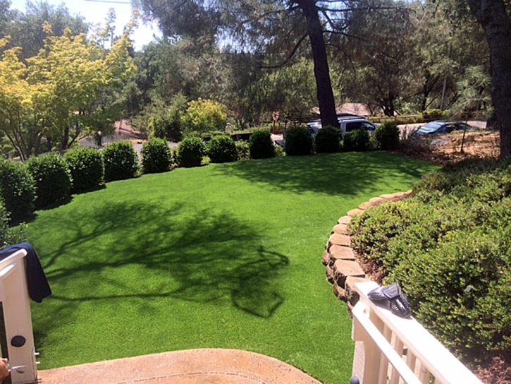 Synthetic Grass Cost Crisman, Colorado Lawns, Beautiful Backyards