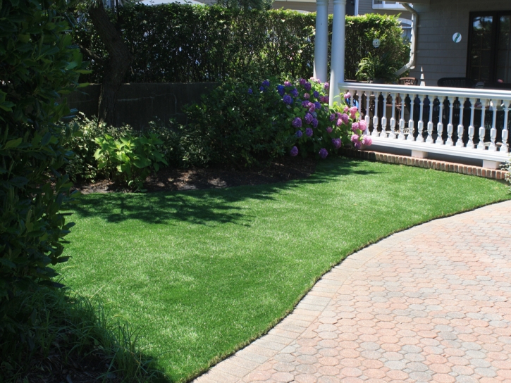 Synthetic Grass Cost Dove Valley, Colorado Pet Paradise, Front Yard