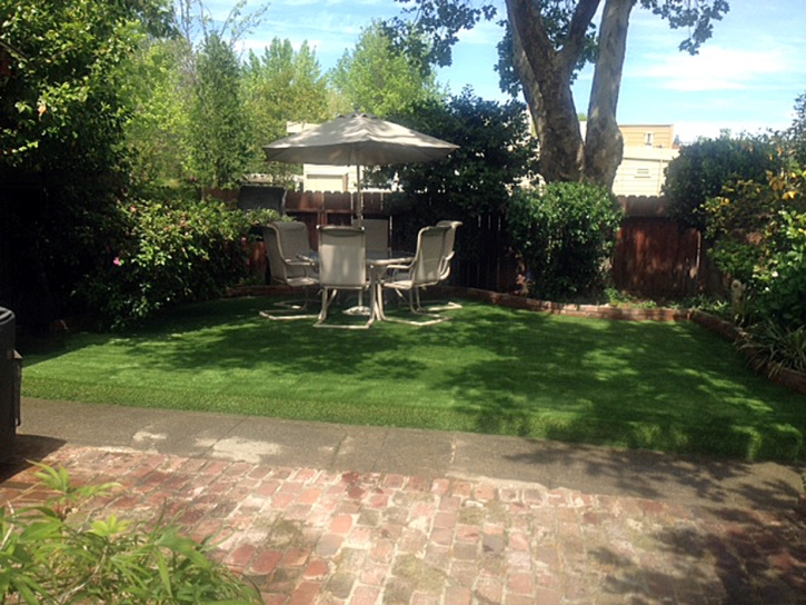 Synthetic Grass Cost Eldora, Colorado Lawn And Garden, Backyard Landscaping