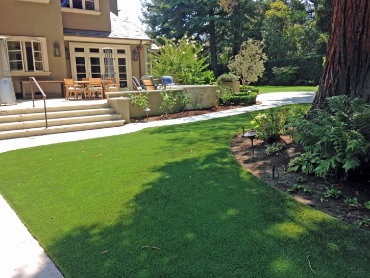 Synthetic Grass Cost Ellicott, Colorado Lawns, Backyard Ideas