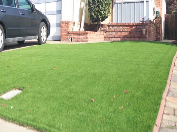 Synthetic Grass Cost Leadville, Colorado Landscape Design, Front Yard Landscaping