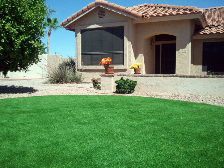 Synthetic Grass Cost Leyner, Colorado Landscape Design, Front Yard Design