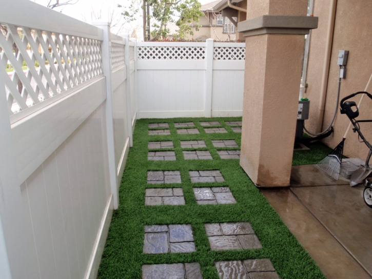 Synthetic Grass Cost Pitkin, Colorado Landscape Photos, Backyard Landscape Ideas