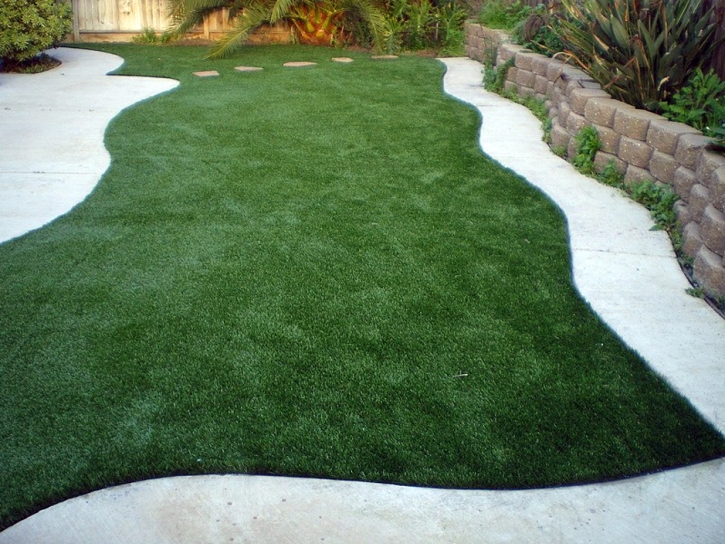 Synthetic Grass Cost San Acacio, Colorado Paver Patio, Backyard Design