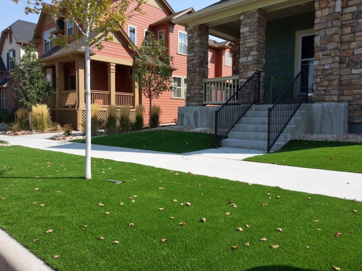 Synthetic Grass Cost Thornton, Colorado Home And Garden, Front Yard Landscape Ideas